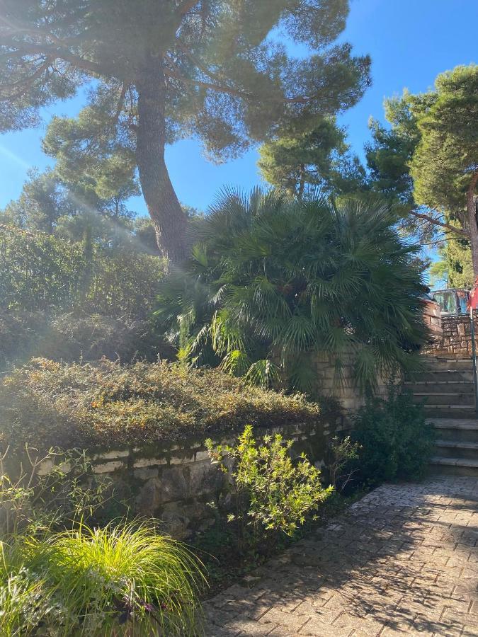 Apartman Number 9 Rovinj Kültér fotó